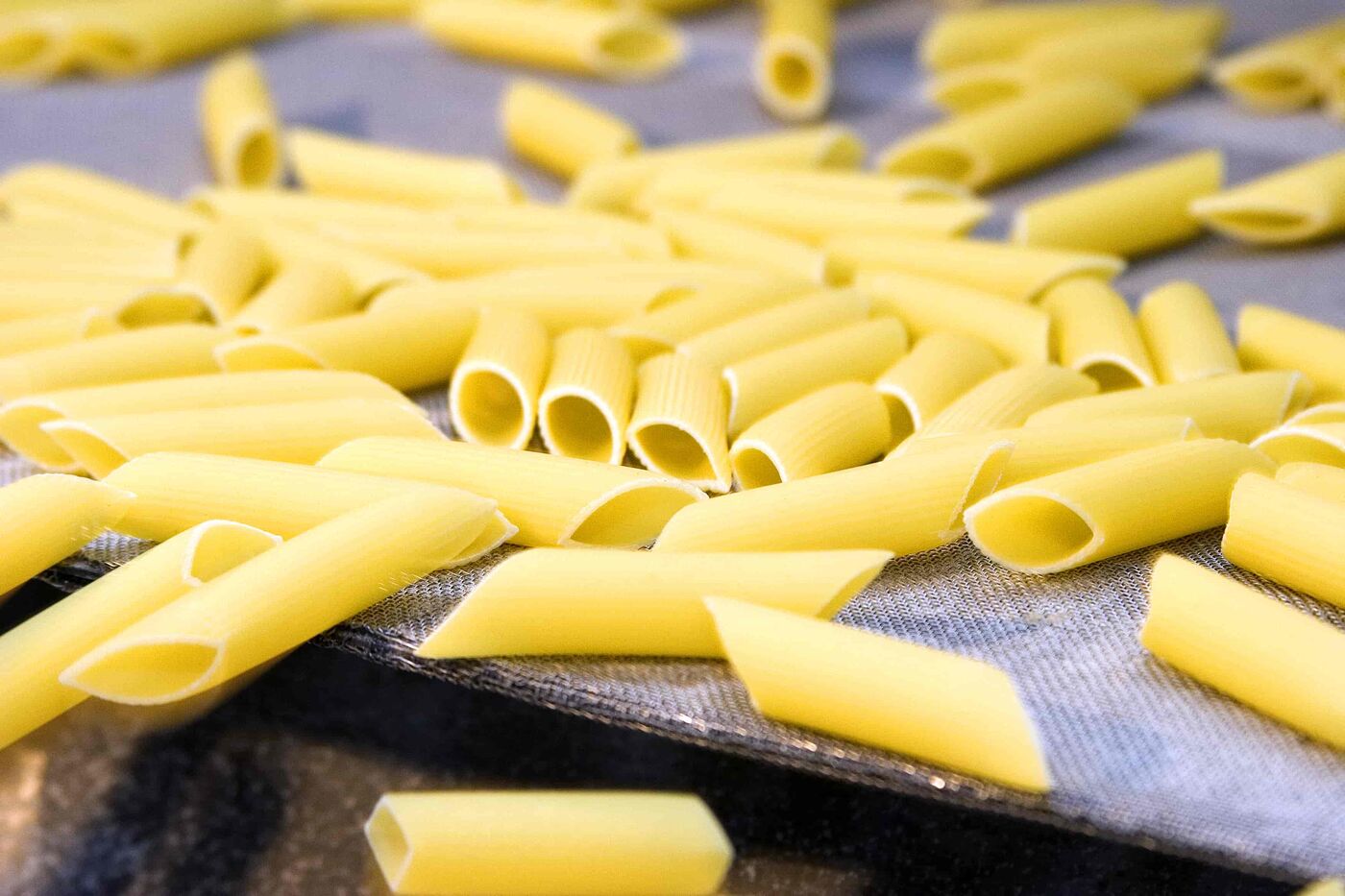 Fideos Grimaldi en producción — Corporación Industrial Fideera